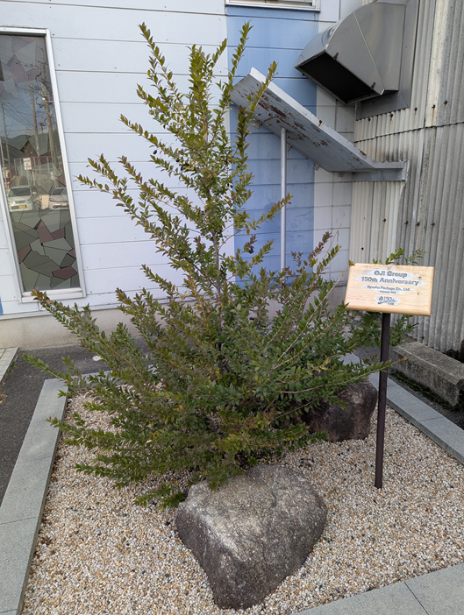 営業部新入社員の紹介