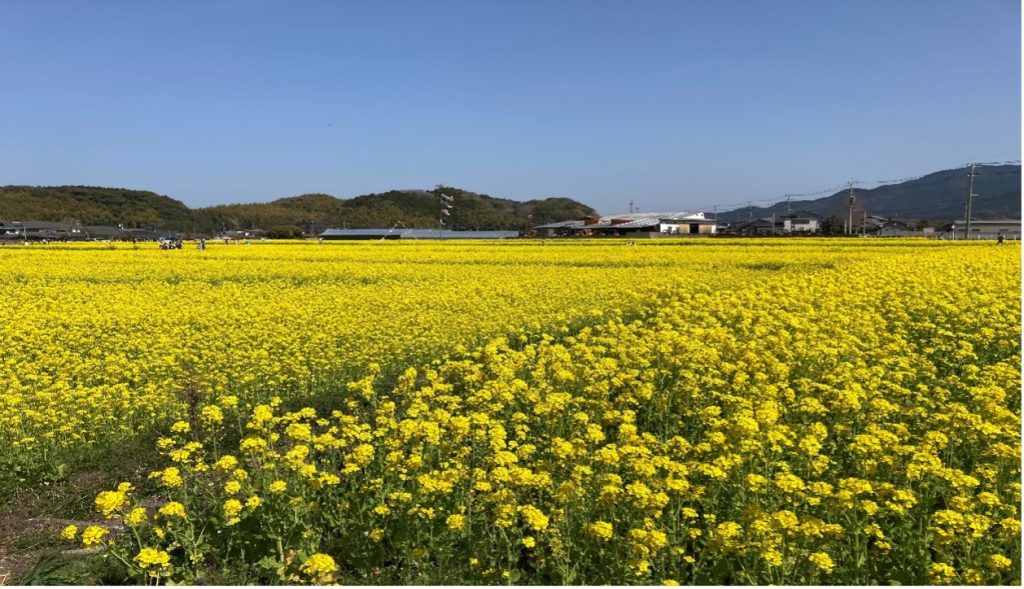 営業支援室　新入社員の紹介